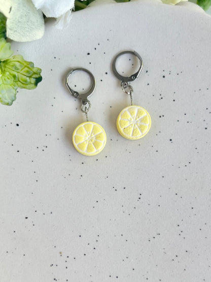 Citrus Fruit Slice Earrings
